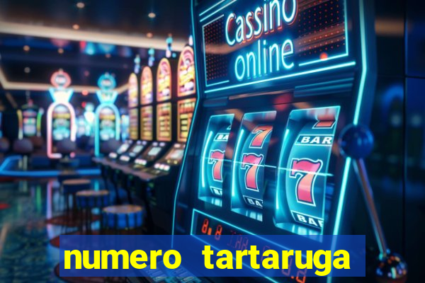 numero tartaruga jogo do bicho