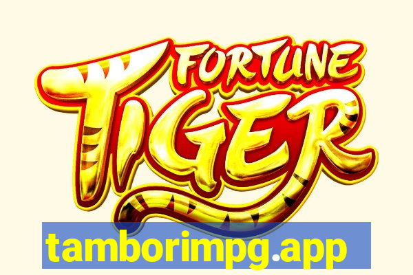 tamborimpg.app