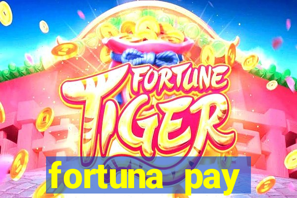 fortuna pay consultoria financeira ltda