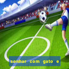 sonhar com gato e cachorro juntos jogo do bicho