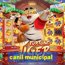 canil municipal