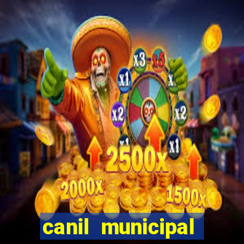 canil municipal porto alegre