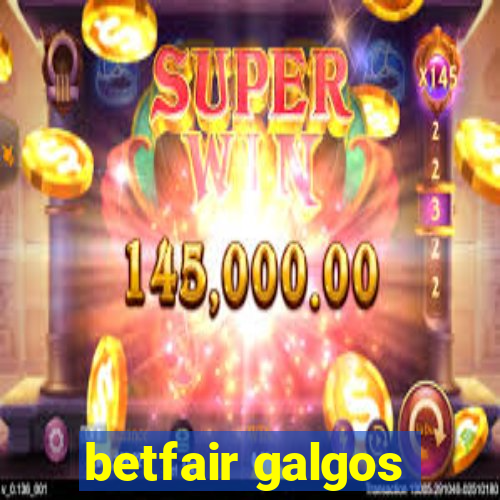 betfair galgos