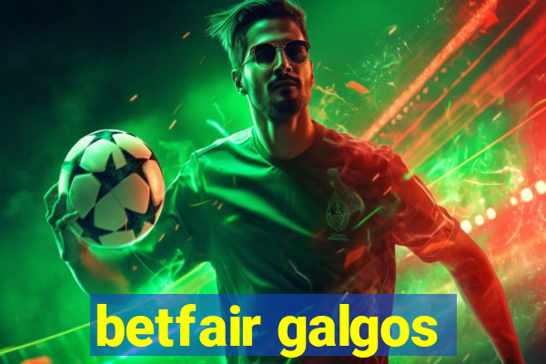 betfair galgos