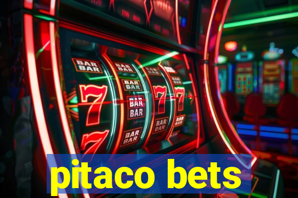 pitaco bets