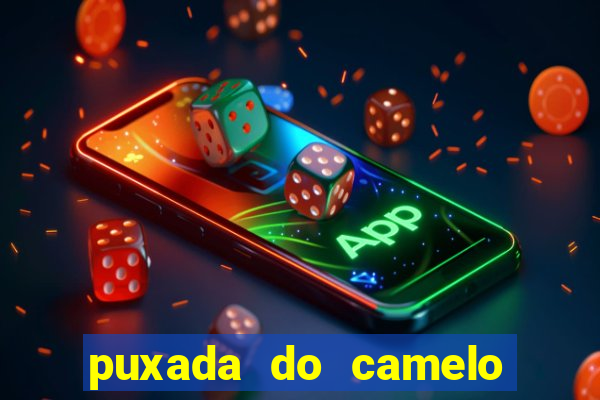 puxada do camelo jogo do bicho