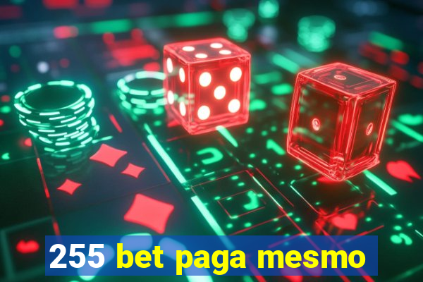 255 bet paga mesmo