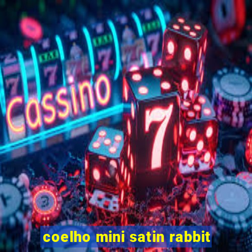 coelho mini satin rabbit