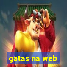 gatas na web