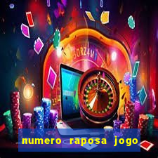 numero raposa jogo do bicho