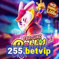 255.betvip