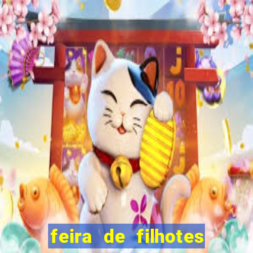 feira de filhotes porto alegre