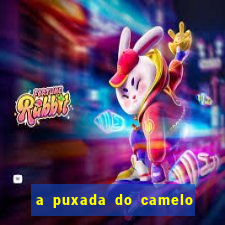 a puxada do camelo no jogo do bicho