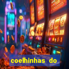 coelhinhas do brasil site