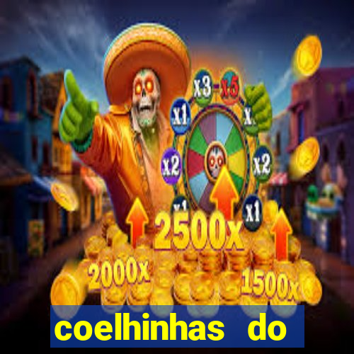 coelhinhas do brasil site