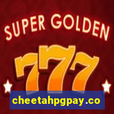 cheetahpgpay.com