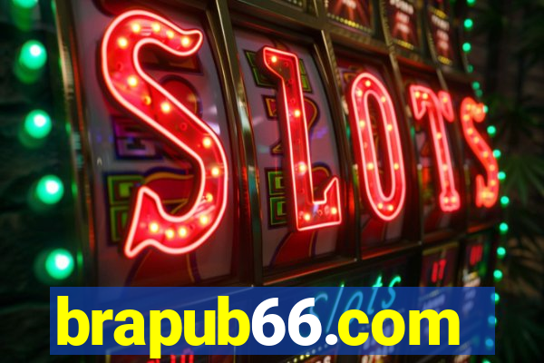 brapub66.com