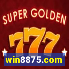 win8875.com