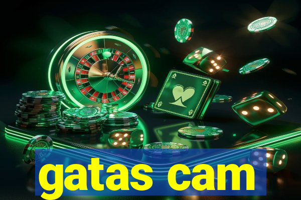 gatas cam