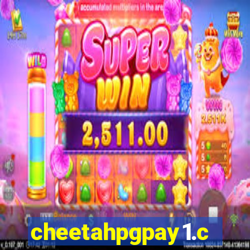 cheetahpgpay1.com