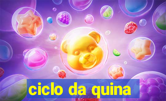 ciclo da quina