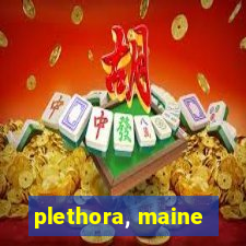 plethora, maine