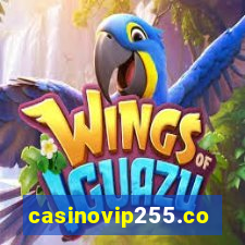 casinovip255.com