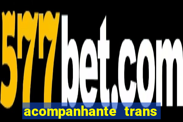 acompanhante trans porto seguro