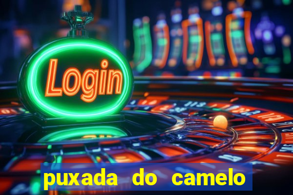 puxada do camelo no jogo do bicho