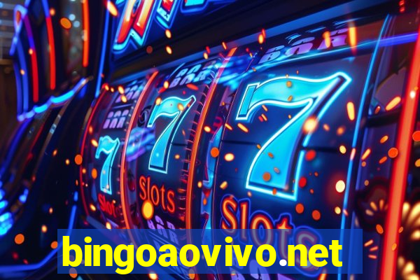 bingoaovivo.net