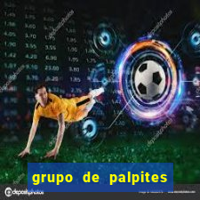 grupo de palpites de futebol telegram