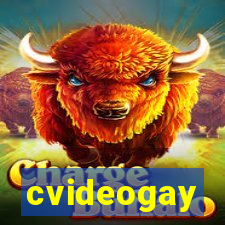 cvideogay