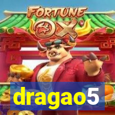 dragao5