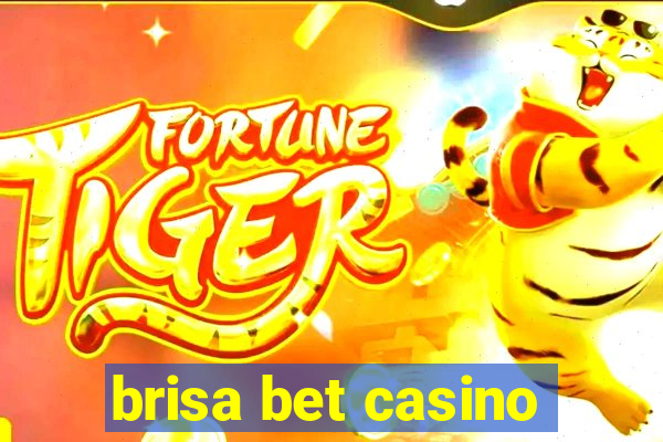 brisa bet casino