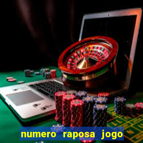 numero raposa jogo do bicho