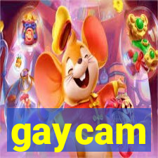 gaycam