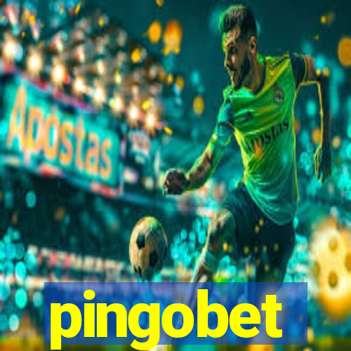 pingobet