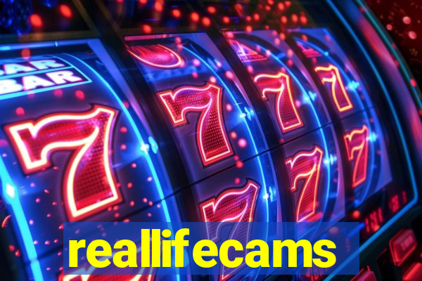 reallifecams