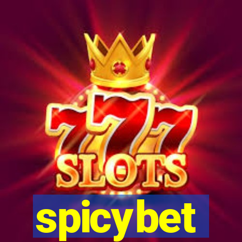 spicybet-4.com