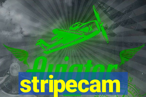 stripecam