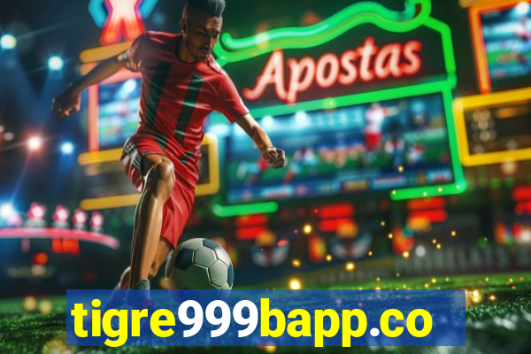 tigre999bapp.com