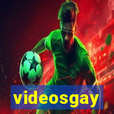 videosgay