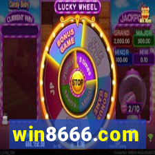 win8666.com